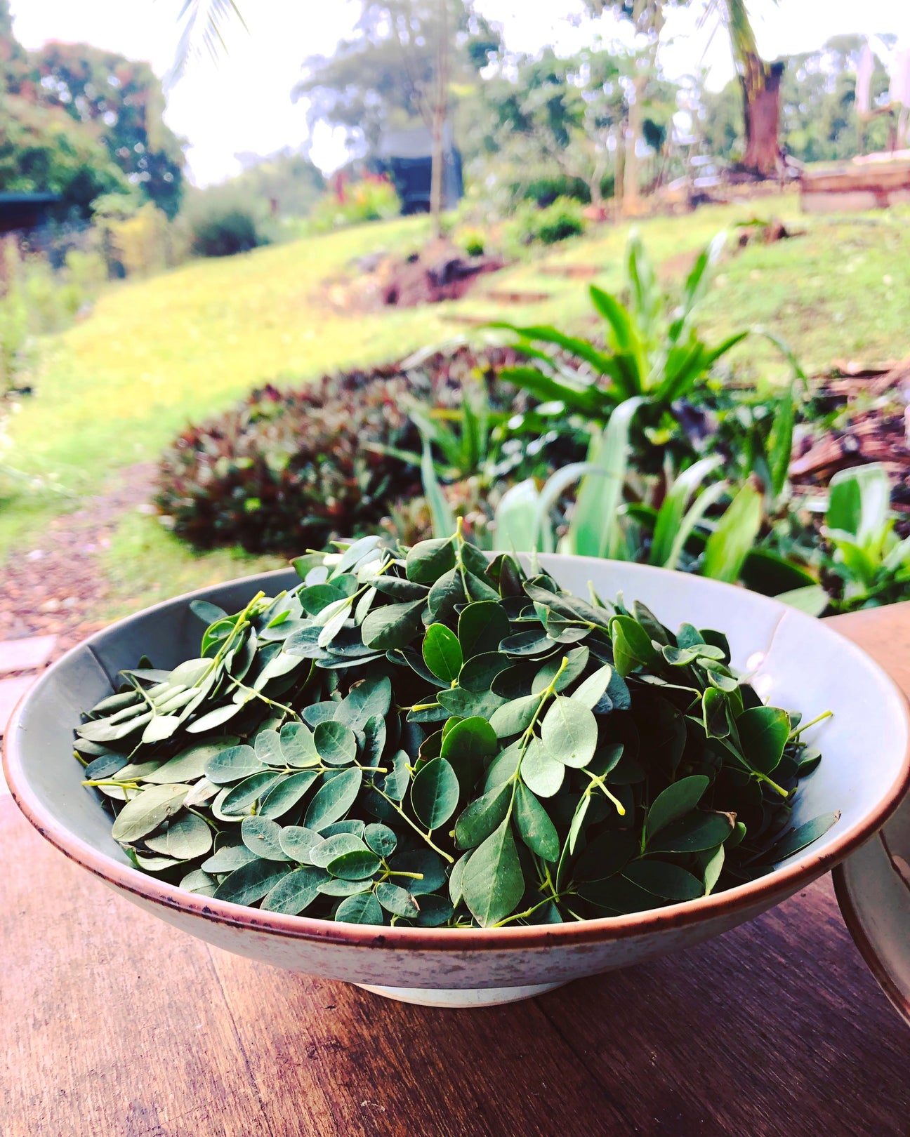 Adapted Society: Trapping the Robber in the House